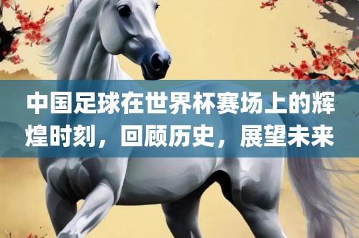 中国足球在世界杯赛场上的辉煌时刻，回顾历史，展望未来