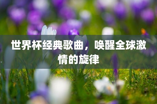 世界杯经典歌曲，唤醒全球激情的旋律