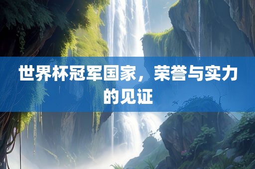 世界杯冠军国家，荣誉与实力的见证