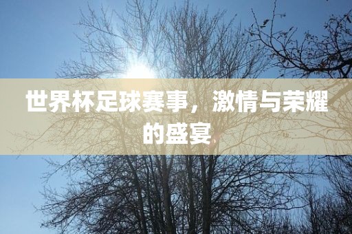 世界杯足球赛事，激情与荣耀的盛宴