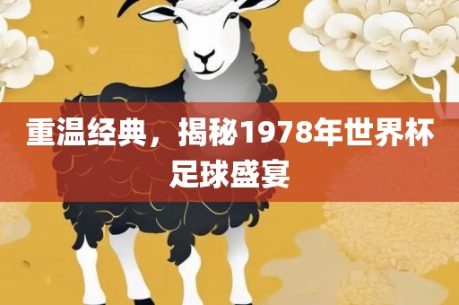 重温经典，揭秘1978年世界杯足球盛宴漯河市盈旭机械设备有限公司