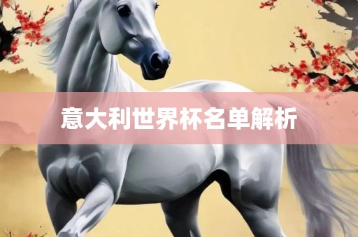 意大利世界杯名单解析