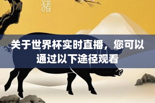 关于世界杯实时直播，您可以通过以下途径观看