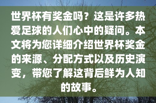 世界杯有奖金吗？这是许多热爱足球的人们心中的疑问。本文将为您详细介绍世界杯奖金的来源、分配方式以及历史演变，带您了解这背后鲜为人知的故事。