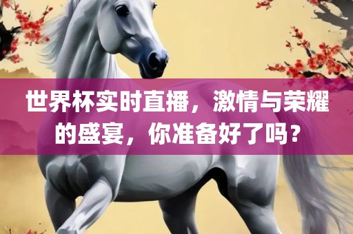 世界杯实时直播，激情与荣耀的盛宴，你准备好了吗？