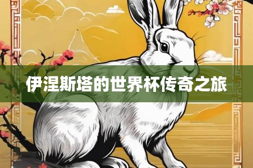 伊涅斯塔的世界杯传奇之旅