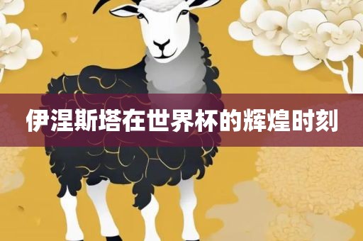 伊涅斯塔在世界杯的辉煌时刻