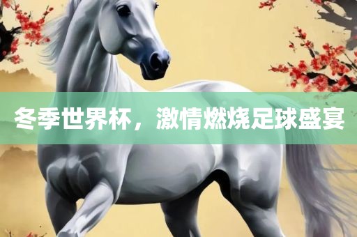 冬季世界杯，激情燃烧足球盛宴漯河市盈旭机械设备有限公司