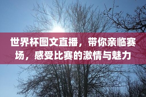 世界杯图文直播，带你亲临赛场，感受比赛的激情与魅力