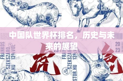 中国队世界杯排名，历史与未来的展漯河市盈旭机械设备有限公司望