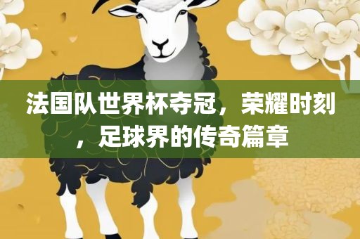 法国队世界杯夺冠，荣耀时刻，足球界的传奇篇章