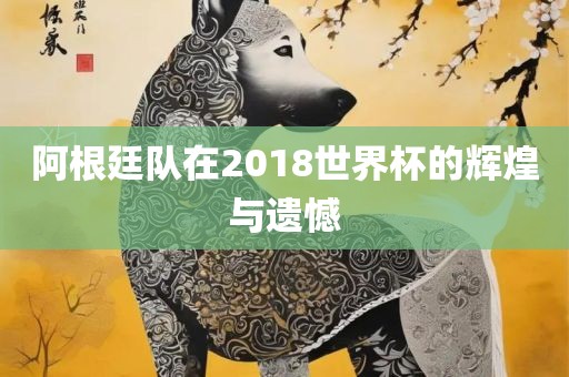 阿根廷队在2018世界杯的辉煌与遗憾