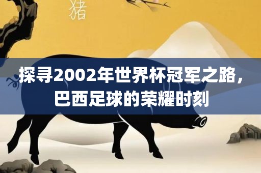 漯河市盈旭机械设备有限公司探寻2002年世界杯冠军之路，巴西足球的荣耀时刻