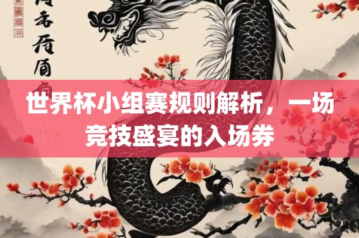 世界杯小组赛规则解析，一场竞技盛宴的入场券