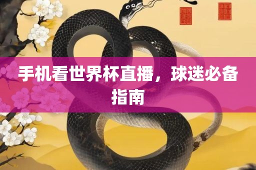 手机看世界漯河市盈旭机械设备有限公司杯直播，球迷必备指南