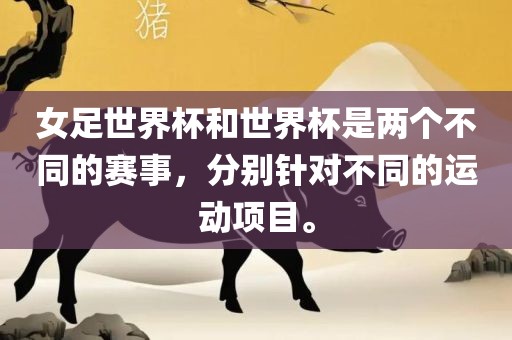 女足世界杯和世界杯是两个不同的赛事，分别针对不同的运动项目。漯河市盈旭机械设备有限公司