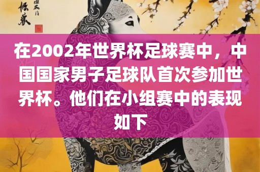 在2002年世界杯足球赛中，中国国家男子足球队首次参加世界杯。他们在小组赛中的表现如下