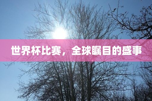 世界杯比赛，全球瞩目的盛事漯河市盈旭机械设备有限公司