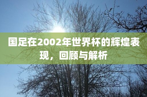 国足在2002年世界杯的辉煌表现，回顾与解析