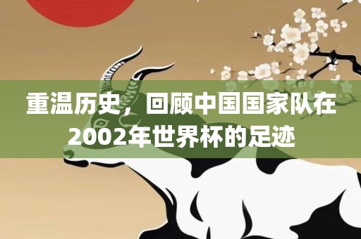 重温历史，回顾中漯河市盈旭机械设备有限公司国国家队在2002年世界杯的足迹