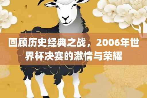 回顾历史经典之战，2006年世界杯决赛的激情与荣耀
