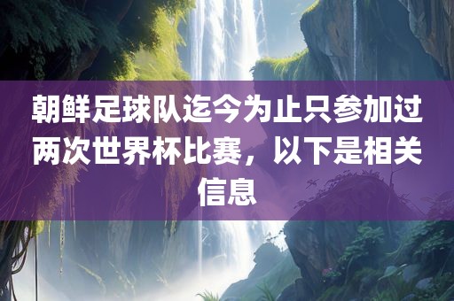 朝鲜足球队迄今为止只参加过两次世界杯比赛，以下是相关信息漯河市盈旭机械设备有限公司