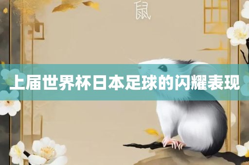 上届世界杯日本足球的闪耀表现