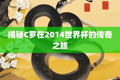 揭秘C罗在2014世界杯的传奇之漯河市盈旭机械设备有限公司旅