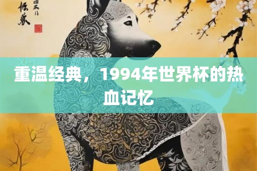 重温经典，1994年世界杯的热血记忆