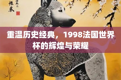 重温历史经典，1998法国世界杯的辉煌与荣耀