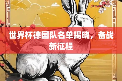 世界杯德国队名单揭晓，备战新征程