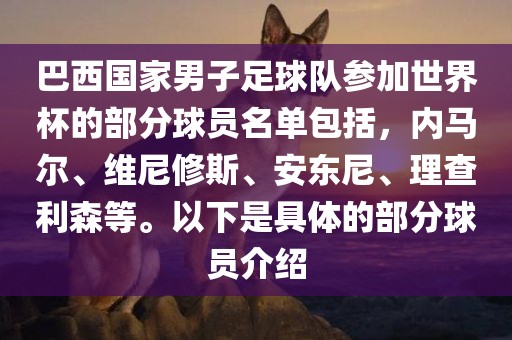 巴西国家男子足球队参加世界杯的部分球员名单包括，内马尔、维尼修斯、安东尼、理查利森等。以下是具体的部分球员介绍