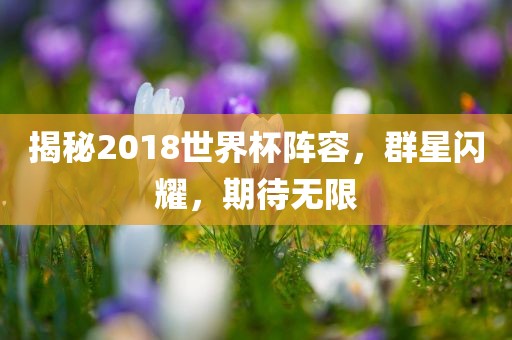 揭秘2018世界漯河市盈旭机械设备有限公司杯阵容，群星闪耀，期待无限