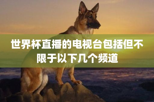 世界杯直播的电视台漯河市盈旭机械设备有限公司包括但不限于以下几个频道