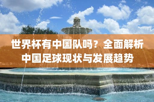 世界杯有中国队吗？全面解析中国足球现状与发展趋势
