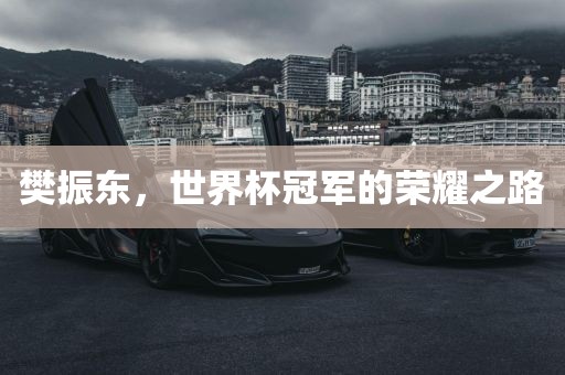 樊振东，世界杯冠军的荣耀之路