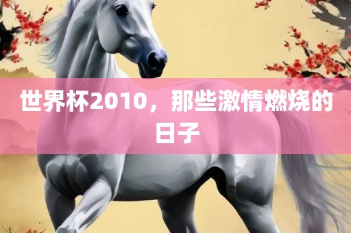 世界杯2010，那些激情燃烧的日子