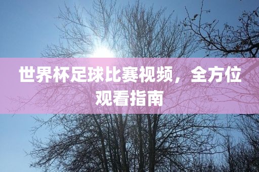 世界杯足球比赛视频，全方位观看指南漯河市盈旭机械设备有限公司