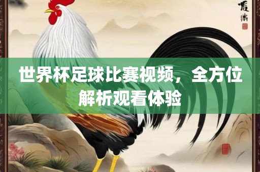 世界杯足球比赛视频漯河市盈旭机械设备有限公司，全方位解析观看体验