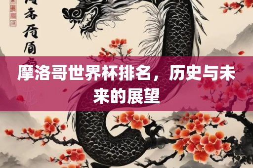 摩洛哥世界杯排名，历史与未来的展望