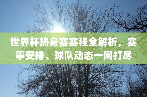 世界杯热身赛赛程全解析，赛事安排、球队动态一网打尽
