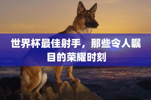 世界杯最佳射手，那些令人瞩目的荣耀时刻