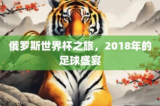 俄罗斯世界杯之旅，2018年的足球盛宴