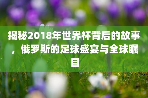 揭秘2018年世界杯背后的故事，俄罗斯的足球盛宴与全球瞩目