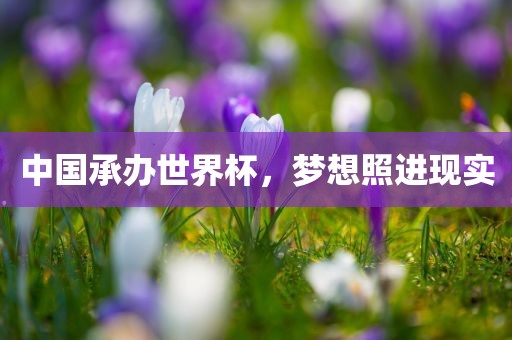 中国承办世界杯，梦想照进现实漯河市盈旭机械设备有限公司