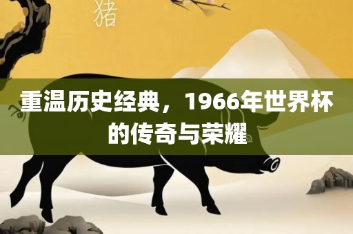 重温历史经典，1966年世界杯的传奇与荣耀