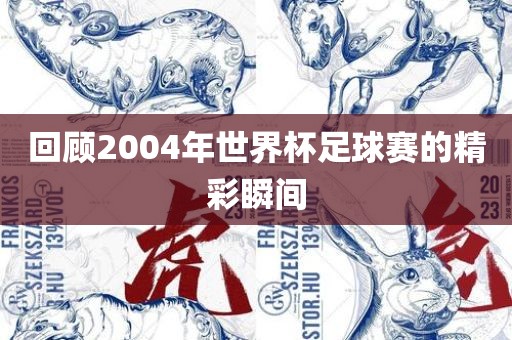 回顾2004年世界杯足球赛的精彩瞬间漯河市盈旭机械设备有限公司