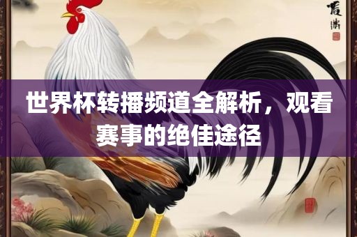 世界杯转播频道全解析，观看赛事的绝佳途径