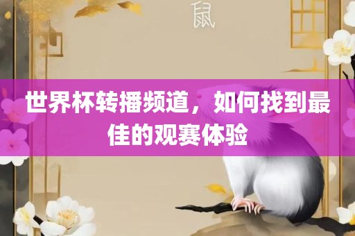 世界杯转播频道，如何找到最佳的观赛体验