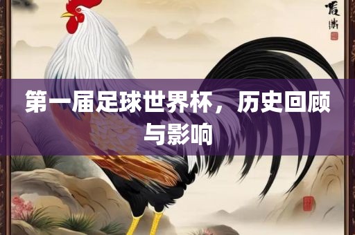 第一届足球世界杯，历史回顾与影响漯河市盈旭机械设备有限公司